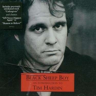 Black Sheep Boy: An Introduction To Tim Hardin - Tim Hardin - Musik - UNIVERSAL - 0731458981220 - 1. juli 2002