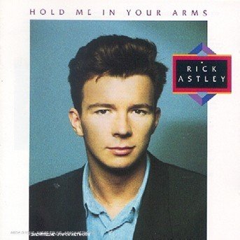 Hold Me in Your Arms - Rick Astley - Music - Sony - 0743213691220 - December 10, 2008