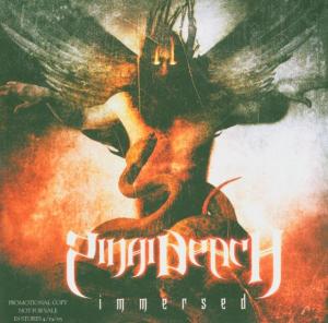 Cover for Sinai Beach · Immersed (CD) (2005)