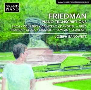 Cover for I. Friedman · Piano Transcriptions (CD) (2016)