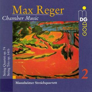 Chamber Music 2 - Reger,max / Mannheim String Quartet - Musik - MDG - 0760623071220 - 17 november 1998