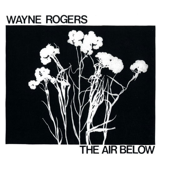 Cover for Wayne Rogers · Air Below (LP) (2019)