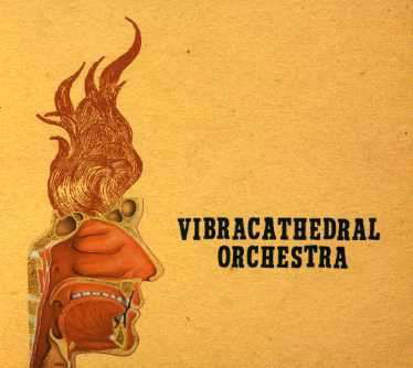 Cover for Vibracathedral Orchestra · Wisdom Thunderbolt (CD) (2007)