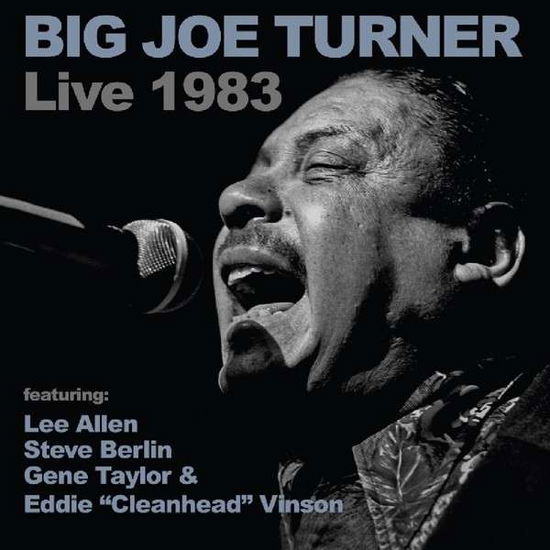 Big Joe Turner Live 1983 - Big Joe Turner - Musikk - RETROWORLD - 0805772621220 - 7. august 2015