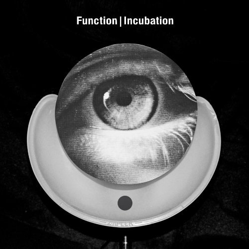 Cover for Function · Incubation (CD) (2013)