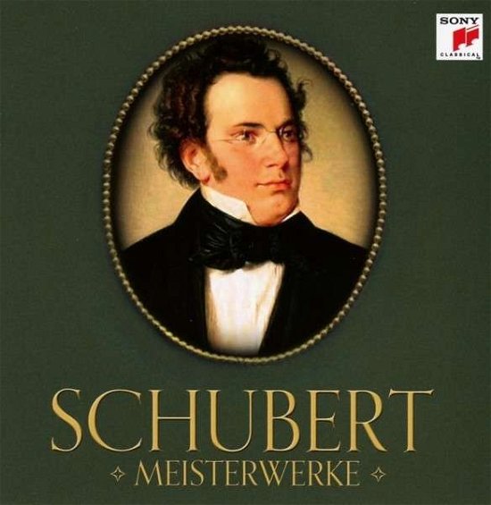 Cover for Schubert · Meisterwerke, 1 Audio-CD (Bok) (2015)