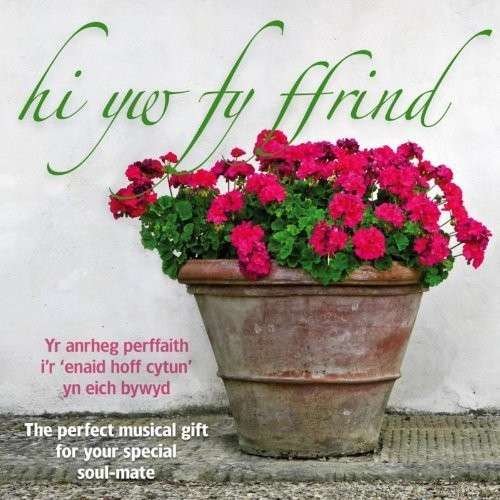 Cover for Hi Yw Fy Ffrind / Various (CD) (2012)