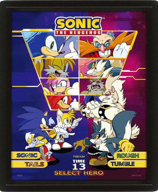 Sonic The Hedgehog (Select Your Fighter) Framed 3D - Sonic the Hedgehog - Produtos - SONIC THE HEDGEHOG - 5050574017220 - 29 de setembro de 2023
