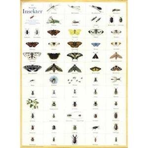 Cover for Hjelm Förlag · Svenska insekter - plakat (Plakat) (2000)