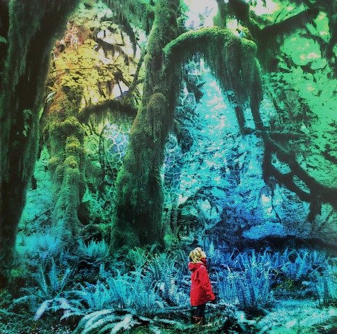 Cabinet Of Curiosities - Jacco Gardner - Music - EXCELSIOR - 8714374963220 - February 7, 2013