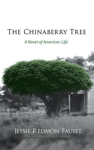 Cover for Jessie Fauset · The Chinaberry Tree: A Novel of American Life (Paperback Bog) [Reprint edition] (2013)