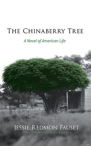 The Chinaberry Tree: A Novel of American Life - Jessie Fauset - Bøger - Dover Publications Inc. - 9780486493220 - 30. december 2013