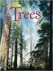 Cover for Lisa Jane Gillespie · Trees - Beginners (Inbunden Bok) (2009)