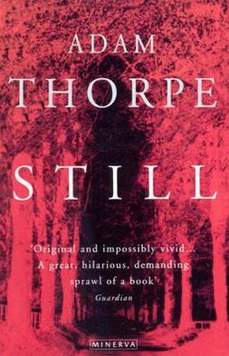 Cover for Adam Thorpe · Still (Taschenbuch) (1996)