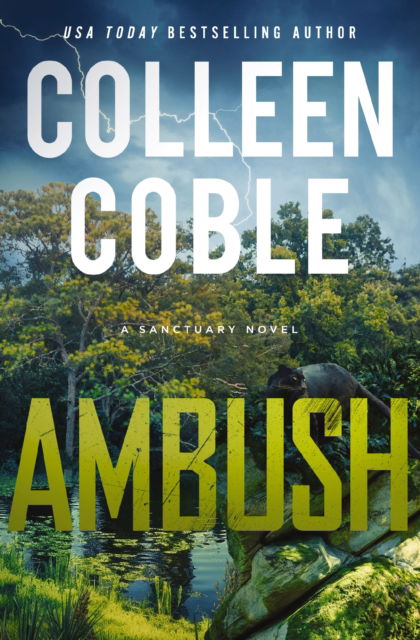 Cover for Colleen Coble · Ambush - A Sanctuary Novel (Paperback Book) (2025)