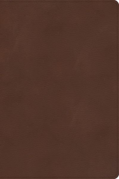 Cover for Csb Bibles by Holman · CSB Rainbow Study Bible, Brown LeatherTouch, Indexed (Leather Book) (2022)