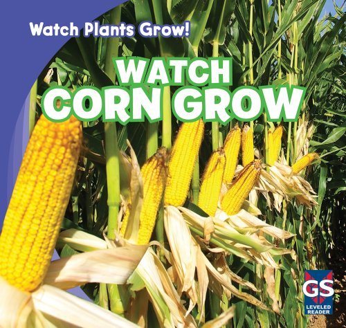 Cover for Kristen Rajczak · Watch Corn Grow (Watch Plants Grow!) (Hardcover Book) (2011)
