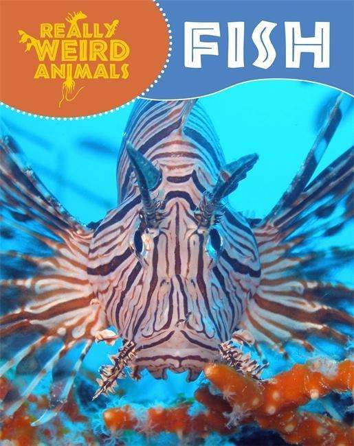 Cover for Clare Hibbert · Really Weird Animals: Fish - Really Weird Animals (Pocketbok) [Illustrated edition] (2015)