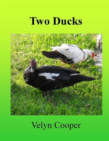Cover for Velyn Cooper · Two Ducks (Paperback Book) (2013)