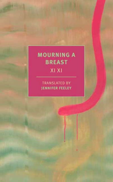 Mourning a Breast - Xi Xi - Bøker - The New York Review of Books, Inc - 9781681378220 - 9. juli 2024