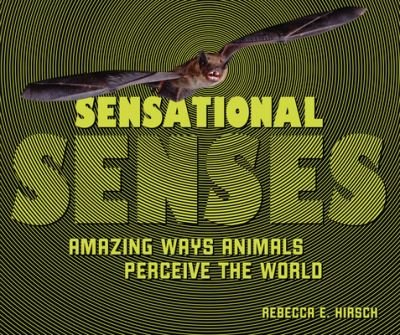 Cover for Rebecca E Hirsch · Sensational Senses (Hardcover Book) (2022)