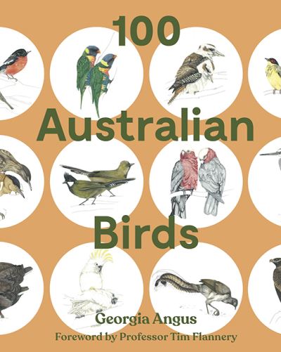 Cover for Georgia Angus · 100 Australian Birds (Paperback Book) [First Edition, Paperback edition] (2021)