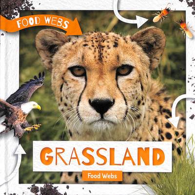 Cover for Harriet Brundle · Grassland Food Webs - Food Webs (Hardcover Book) (2019)