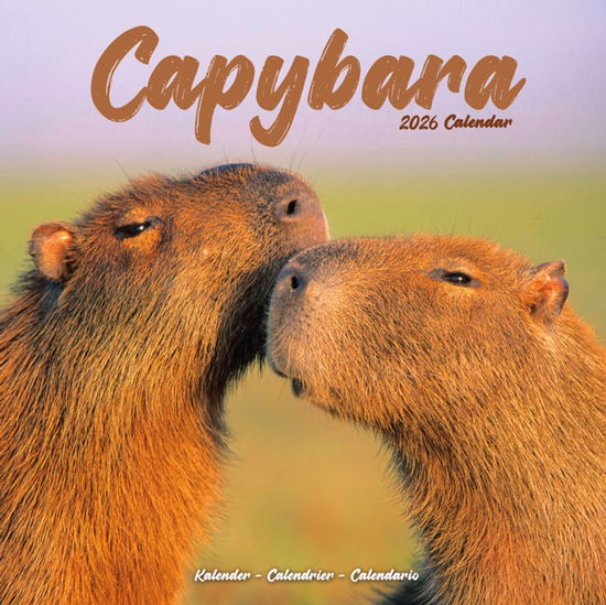 Cover for Capybara Calendar 2026  Square Animal Wall Calendar - 16 Month (Calendar) (2025)
