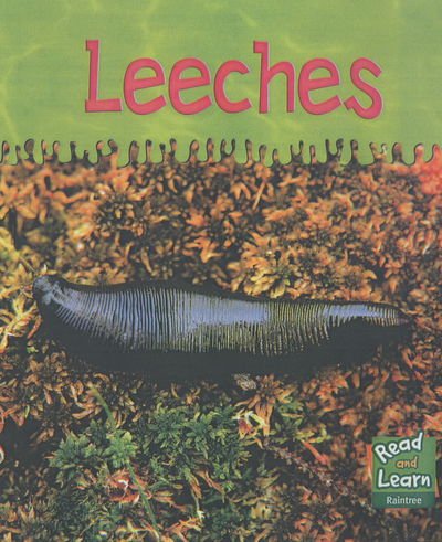 Cover for Lola M. Schaefer · Leeches - Read &amp; Learn: Ooey-gooey Animals S. (Hardcover bog) (2003)
