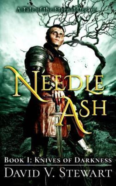 Needle Ash Book 1 - David V Stewart - Książki - Independently Published - 9781976894220 - 2018