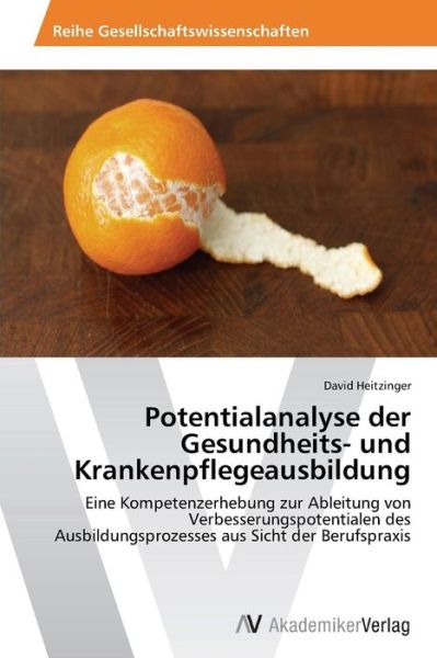 Cover for Heitzinger David · Potentialanalyse Der Gesundheits- Und Krankenpflegeausbildung (Paperback Book) (2012)