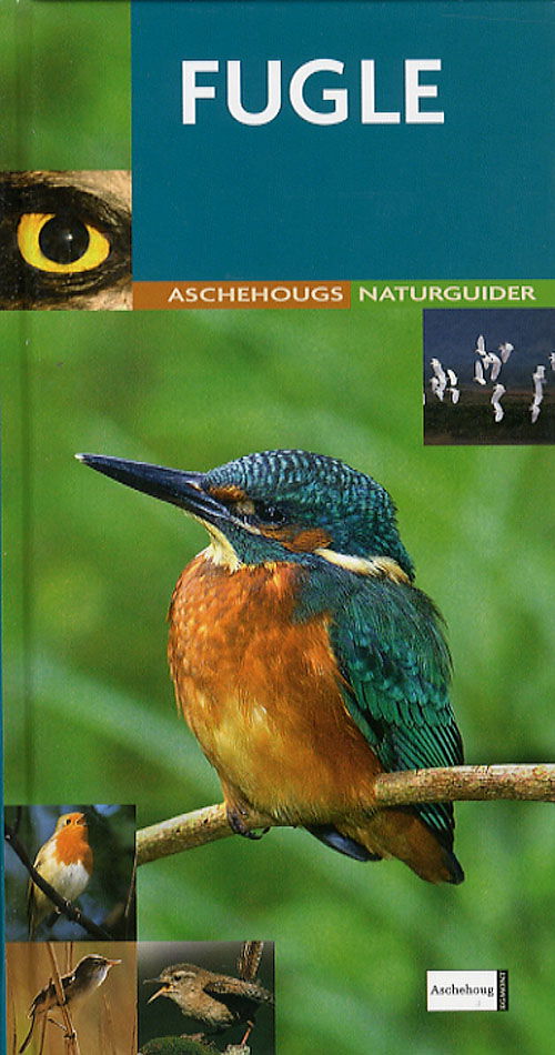 Cover for Jonathan Elphick · Aschehougs naturguider. En Dorling Kindersley bog.: Fugle (Gebundesens Buch) [1. Ausgabe] [Indbundet] (2007)