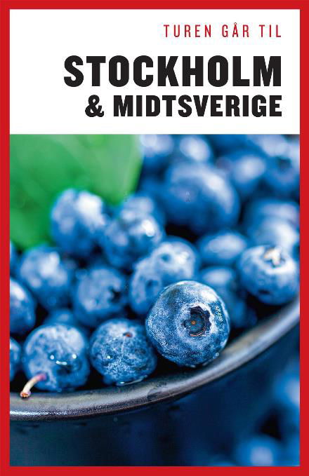 Cover for Karina Krogh Didrik Tångeberg · Politikens Turen går til¤Politikens rejsebøger: Turen går til Stockholm &amp; Midtsverige (Poketbok) [3:e utgåva] (2016)