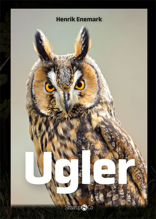 Cover for Henrik Enemark · Maxi: Ugler (Hardcover Book) [1er édition] (2020)