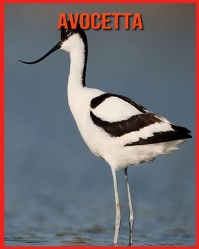 Avocetta: Foto stupende e fatti divertenti Libro sui Avocetta per bambini - Alicia Moore - Books - Independently Published - 9798710962220 - February 18, 2021