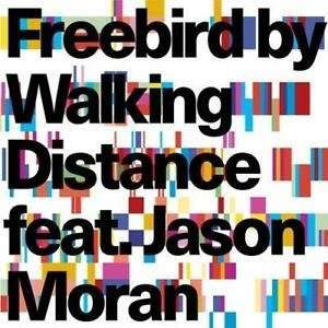 Cover for Walking Distance. · Freebird (CD)