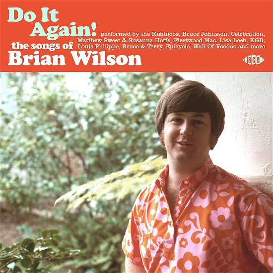 Cover for Brian Wilson · Do It Again! The Songs Of Brian Wilson (CD) (2022)