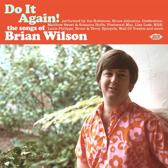 Various Artists · Do It Again! The Songs Of Brian Wilson (CD) (2022)