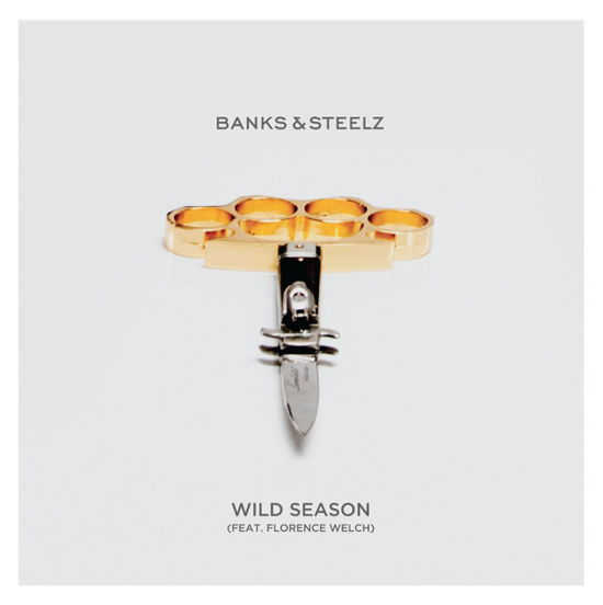 Wild Season - Daze - Banks & Steelz - Musik - Warner - 0054391960221 - 22. april 2017