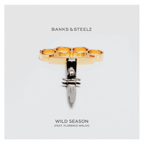 Wild Season - Daze - Banks & Steelz - Musik - Warner - 0054391960221 - 22. April 2017