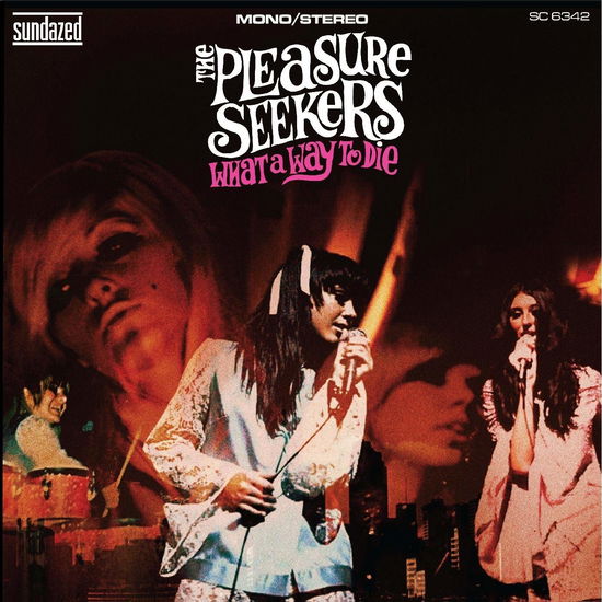 Cover for Pleasure Seekers · What A Way To Die (CD) (2020)