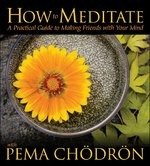 Cover for Pema Chodron · How To Meditate With Pema (CD) (2007)