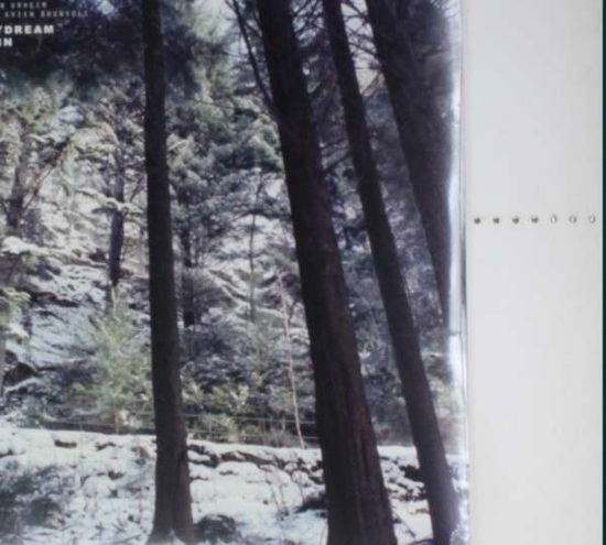 Cover for Urheim,stein &amp; Mari Kvien Brunvoll · Daydream Twin-lp (LP) (2013)