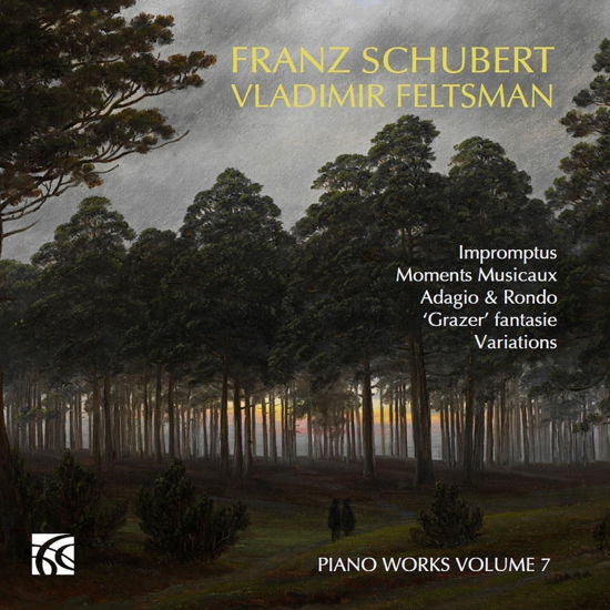 Cover for Vladimir Feltsman · Franz Schubert: Piano Works / Vol. 7 - Impromptus / Moments Musicaux / Adagio &amp; Rondo / Grazer Fantasie / Variations (CD) (2024)