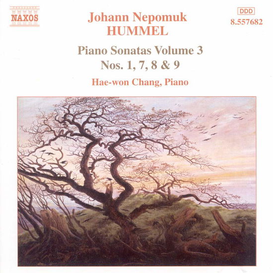 Klaviersonaten Vol.3 - Hae Won Chang - Musikk - Naxos - 0747313268221 - 26. januar 2018