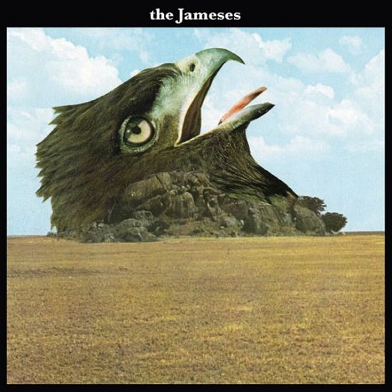 Cover for Jameses · Caribou (7&quot;) (2011)