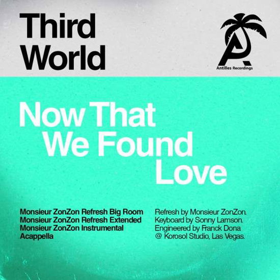 Now That We Found Love (Monsieur Zonzon)-Third Wor - Third World - Música - Essential Media Mod - 0894232551221 - 20 de mayo de 2015