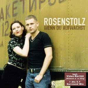 Wenn Du Aufwachst - Rosenstolz - Muziek - MFE - 4012176611221 - 7 oktober 2005