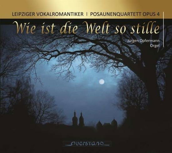 Cover for Leipziger Vokalromantiker · Wie Ist Die Welt So Stille (CD) [Digipak] (2014)