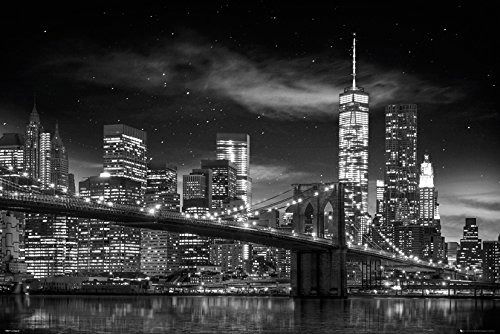 Cover for New York · New York: Freedom Tower B&amp;W (Poster Maxi 61x91,5 Cm) (MERCH)